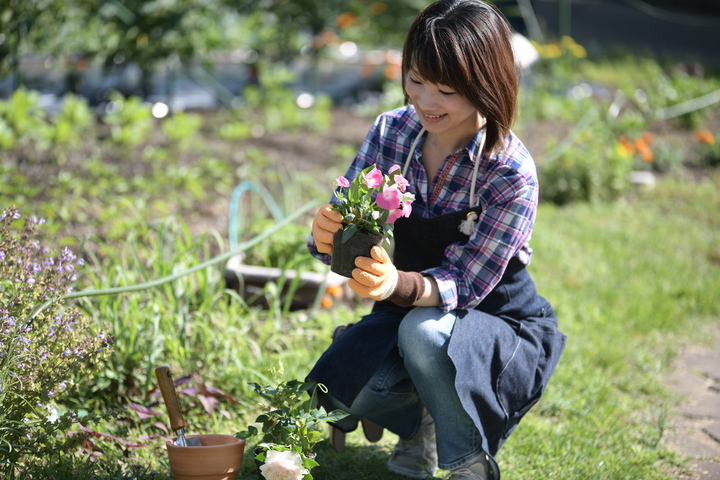 幸せなふたりに贈る結婚祝い ガーデニング DIY用品 花 植物 ＤＩＹ 関連グッズ